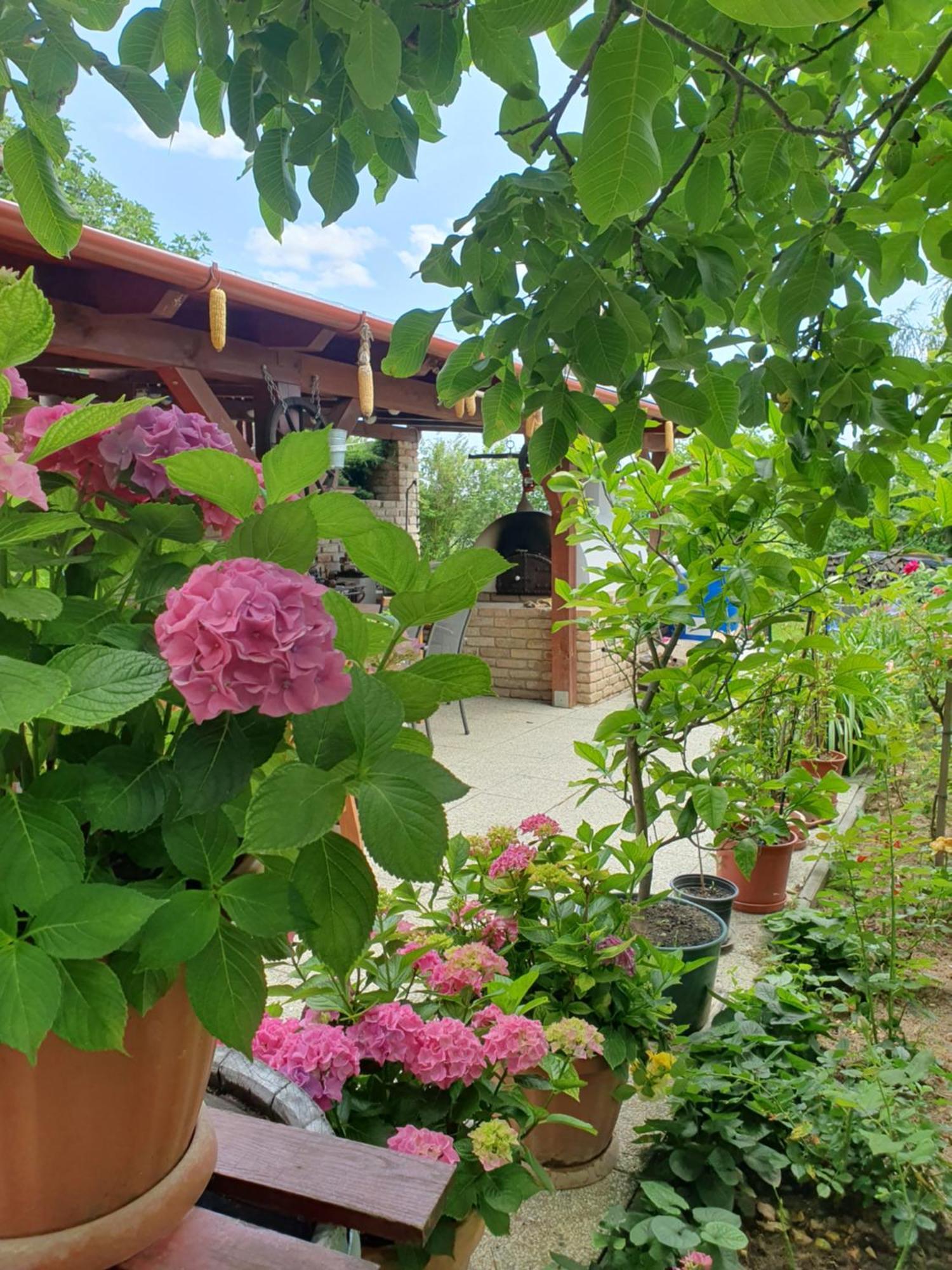 Feher Rozsa Apartman Cserszegtomaj Luaran gambar