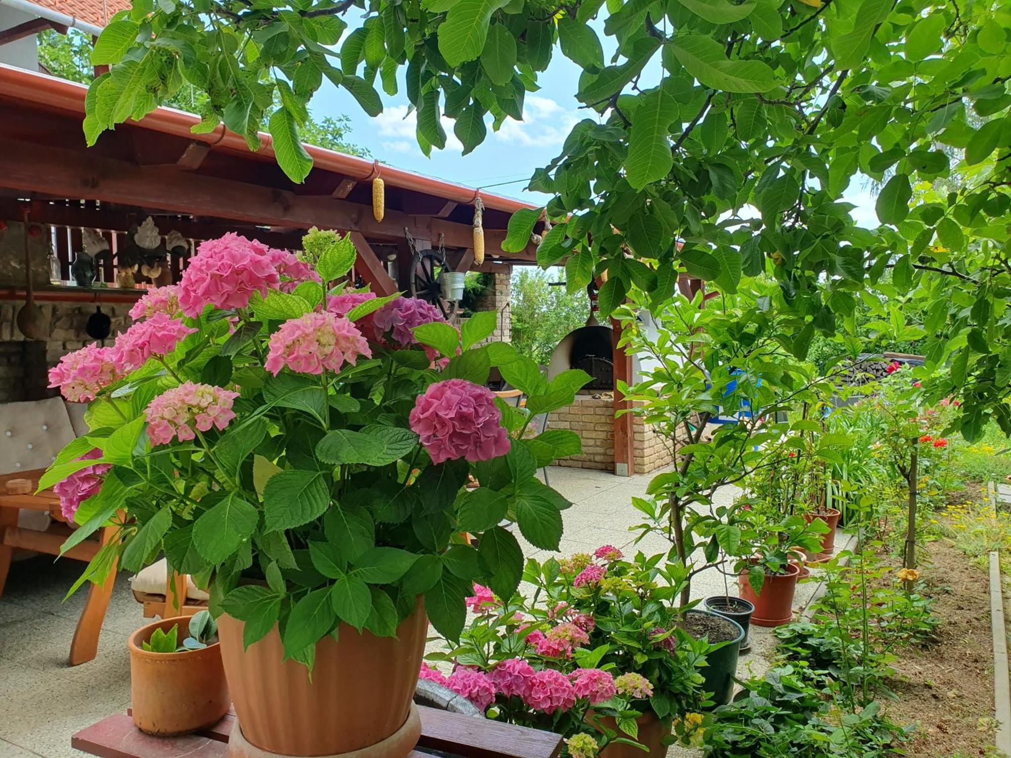 Feher Rozsa Apartman Cserszegtomaj Luaran gambar