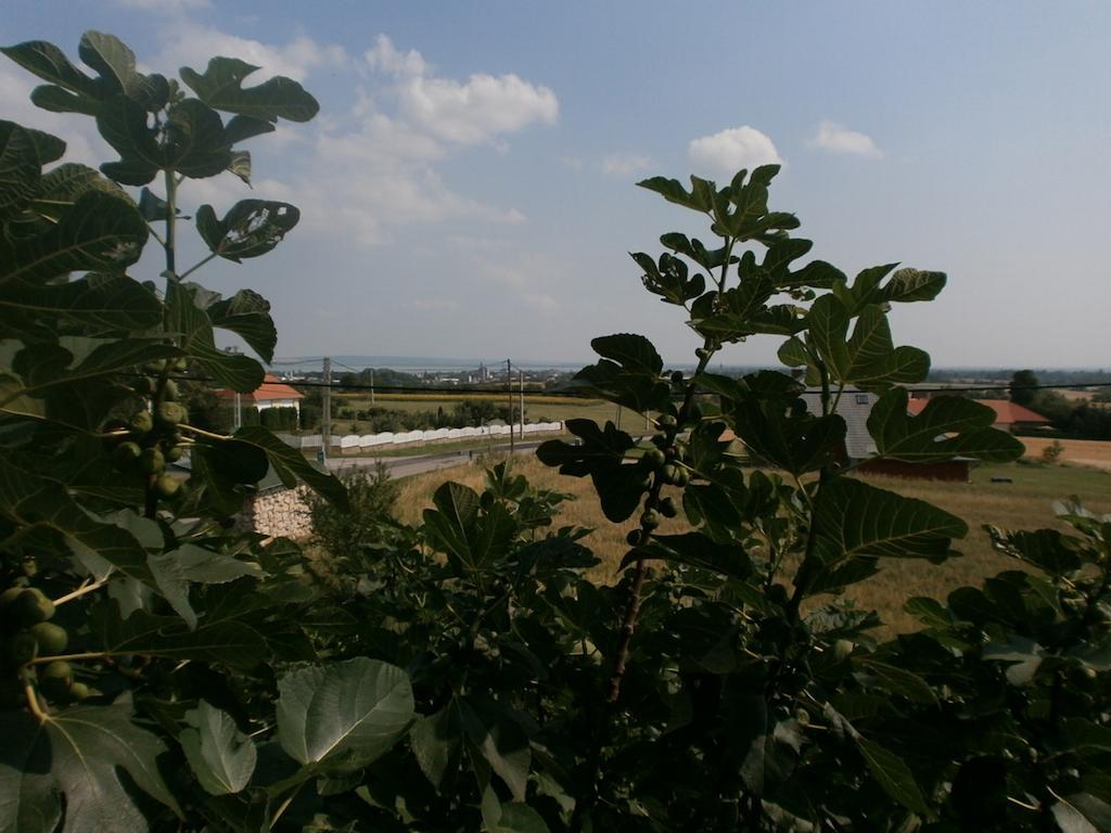 Feher Rozsa Apartman Cserszegtomaj Bilik gambar