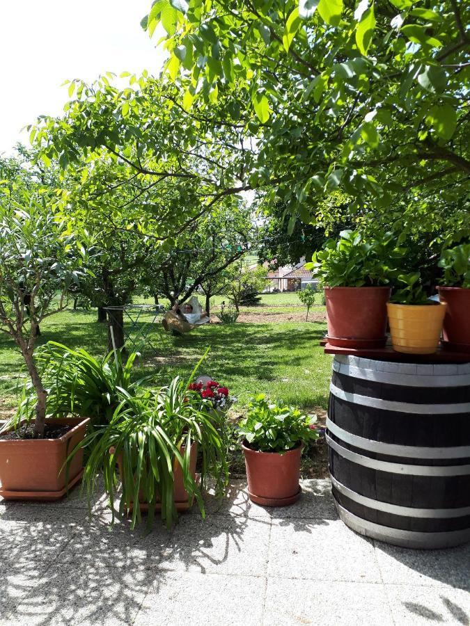 Feher Rozsa Apartman Cserszegtomaj Luaran gambar